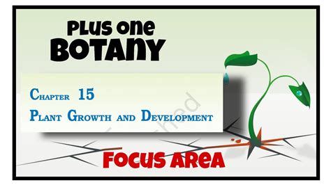 Plus One Botany Focus Area Plant Growth And Development Youtube