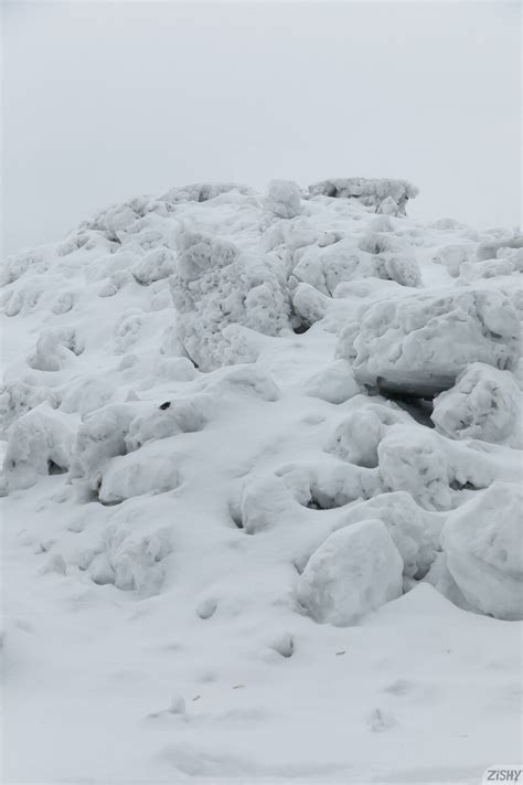 Zishy Featuring Meadow Brink Sex Pics CoedCherry