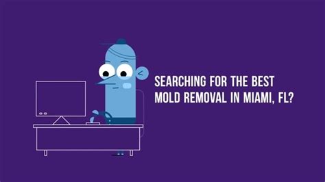 Expert Mold Removal And Remediation In Miami FL Coub