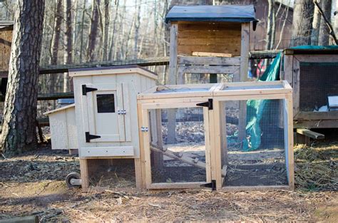 Setting Up Your Outdoor Chick Brooder With Video Amy K Fewell Homesteading For The Kingdom