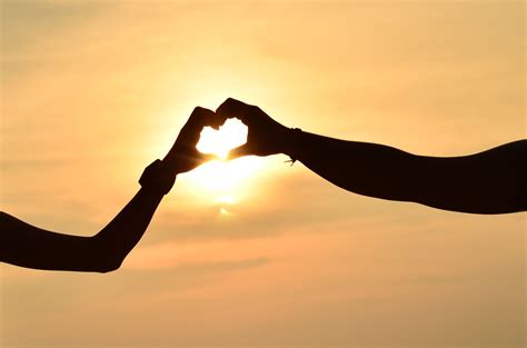 Love In The Sunset Free Photo Download Freeimages