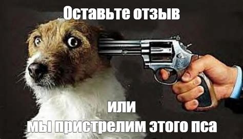 Мем: "Оставьте отзыв или мы пристрелим этого пса" - Все шаблоны - Meme ...