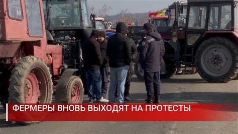 ФЕРМЕРЫ ВНОВЬ ВЫХОДЯТ НА ПРОТЕСТЫ - YouTube