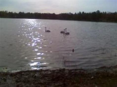 Log Lake County Park And Campground Michigan