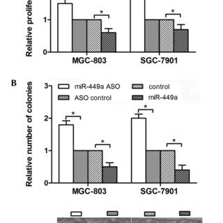 Identification Of The Differential Expression Of Mir A In Gastric