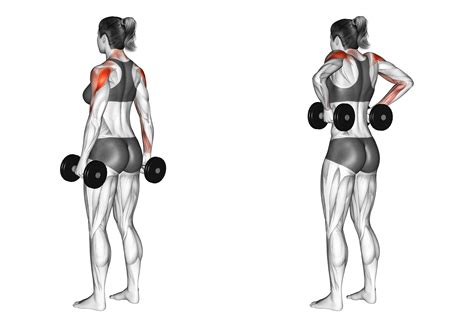 Monkey Rows Benefits Muscles Worked And More Inspire Us