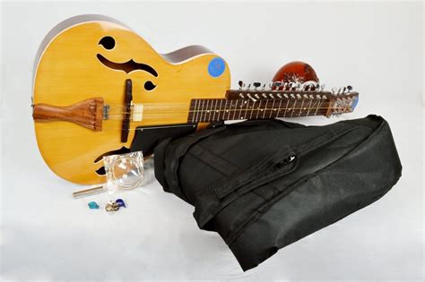 Professional Classical Plucked String Musical Instrument Mohanveena Slide Guitar At ₹ 23940