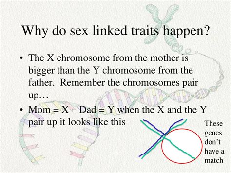 Sex Linked Traits Objective 53 I Can Describe Sex Linked Traits Ppt Download