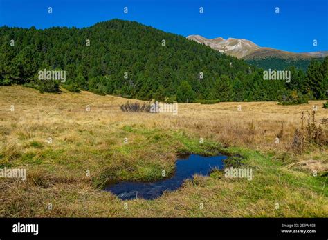 Forests And Meadows Of Andorra Stock Photo Alamy