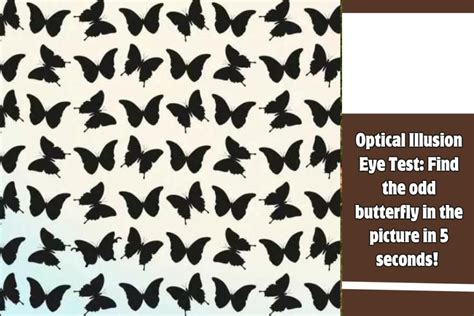 Optical Illusion Eye Test Find The Odd Butterfly In The Picture In 5