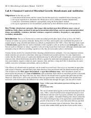 Lab Chemical Control Of Microbial Growth Docx Pdf Bi