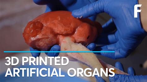 D Printable Organs