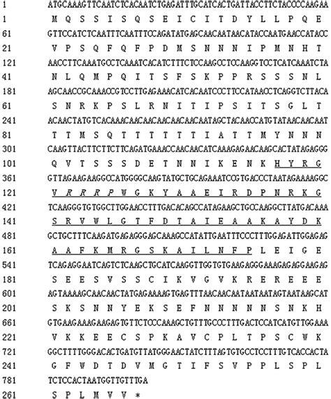 Nucleotide And Deduced Amino Acid Sequence From Gmerf The Ap Erf