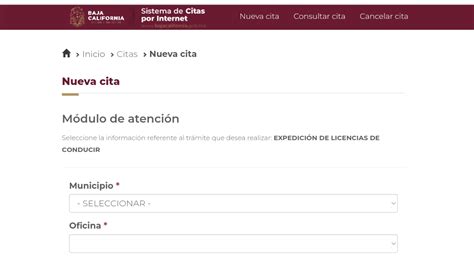 Licencia De Conducir Tijuana 2024 Costos Y Requisitos