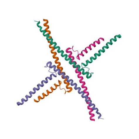 RCSB PDB 4OX0 Crystal Structure Of The Keratin Like Domain From The