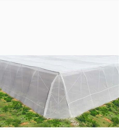 HDPE White Anti Insect Net For Agriculture At 30 Square Meter In