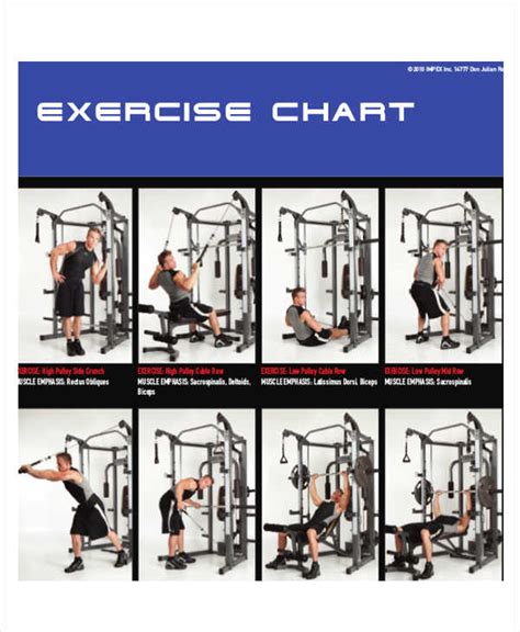 Exercise Chart - 6+ Examples, Format, How to Create, PDF