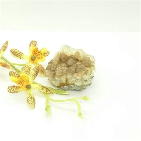 Brown Calcite On White Calcite Plant Essentials