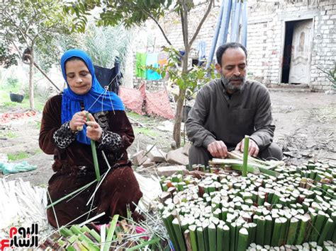 القراموص رائدة صناعة ورق البردى فى العالم