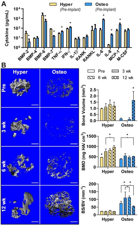 Cytokine Release From Constructs And In Vivo Bone Formation A