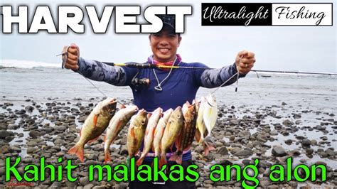 UL Ep 40 Harvest Kahit Malakas Ang Alon Ultralight Fishing