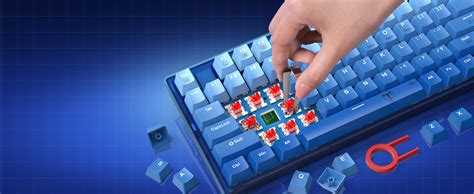 Amazon RisoPhy Portable 60 Percent Keyboard 82 Keys Hot Swappable