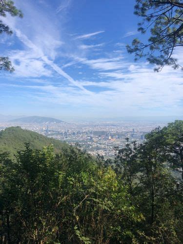 Las Mejores Rutas Para Ver Fauna En Parque Ecol Gico Chipinque En