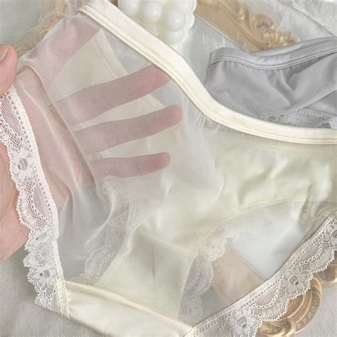 Satin Mesh Panties Womens Briefs Sexy Sheer Panties Etsy