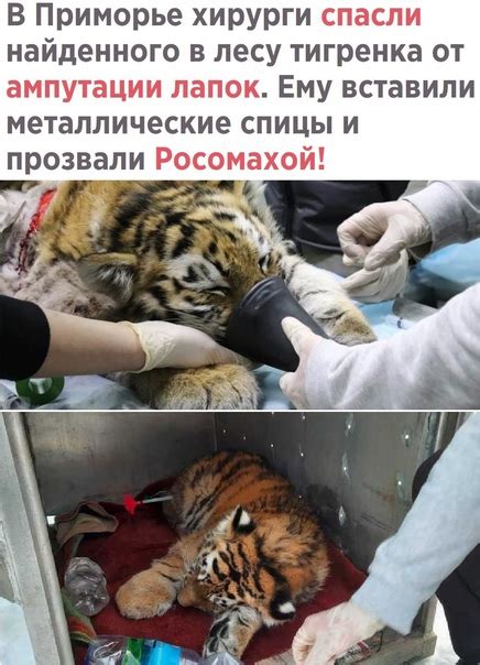 Кристина Долматова | ВКонтакте