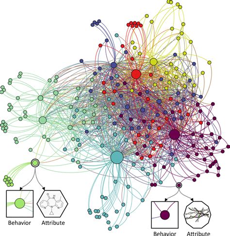 Schematic Diagram Of Molecular Associations Network Different Colored Download Scientific