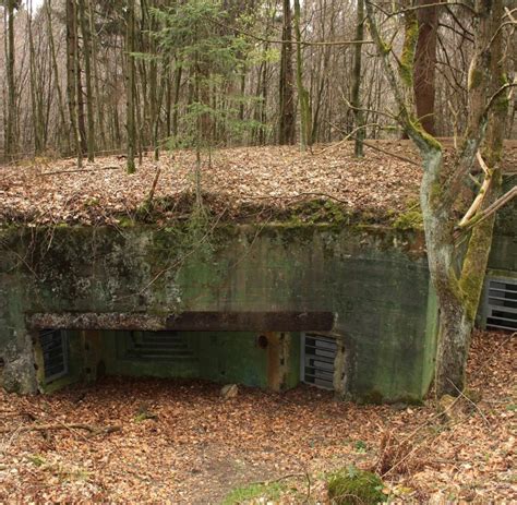 Hemingway 1945 In Hürtgen gefroren sie einfach Sehr sonderbar WELT