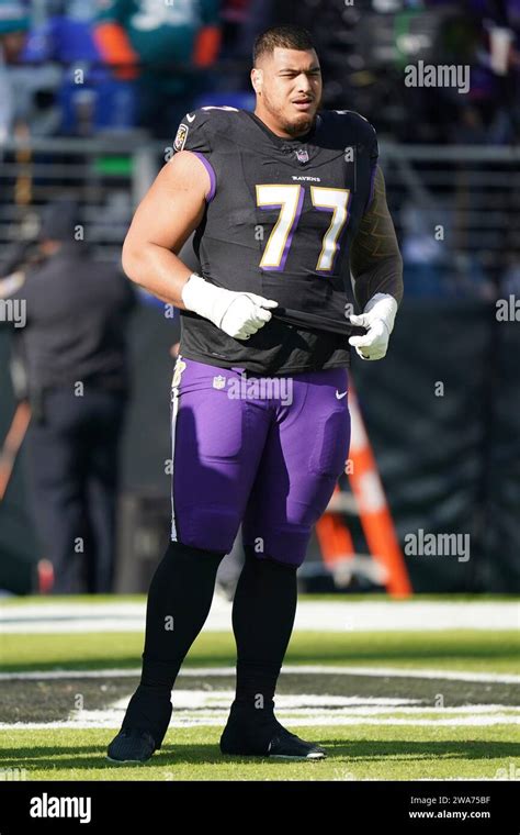 Baltimore Ravens Offensive Tackle Daniel Faalele 77 During An Nfl Football Game Against The