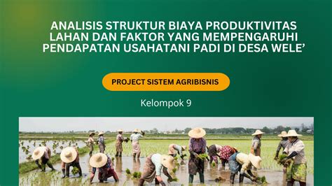 Solution Analisis Struktur Biaya Produktivitas Lahan Dan Faktor Yang