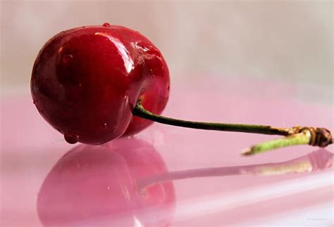 Stoner S Guide To Sex The Horny Virgin Weedist