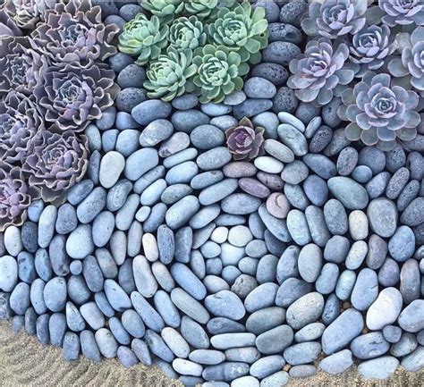 Beautiful Rock Pattern With Succulents Succulent Rock Garden