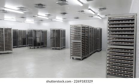 16,499 Storage Egg Images, Stock Photos & Vectors | Shutterstock