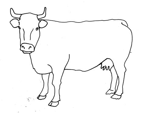 Line Drawing Cow - ClipArt Best