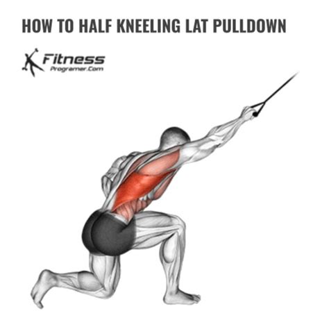 HALF KNEELING LAT PULLDOWN Right By Jdan Bit Exercise How To Skimble