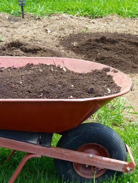 simple techniques  improve garden soil