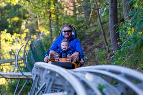 Smoky Mountain Alpine Coaster Review With Photos And Prices Alpine