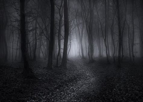 Amazon Fmarui Foggy Dark Forest Backdrop 7x5ft Halloween Spooky