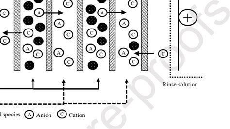 Schematic Representation Of Electrodialysis Process Adapted From 69