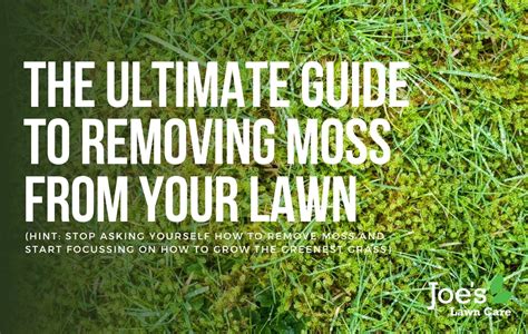 The Ultimate Guide To Removing Moss From Your Lawn Joe S Lawn Care