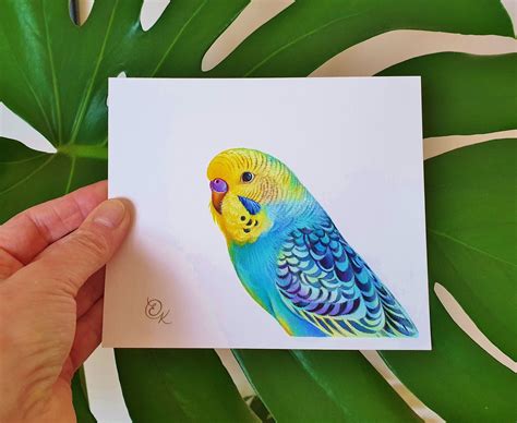 Rainbow Budgie Original Painting Parakeet Watercolour Etsy Australia