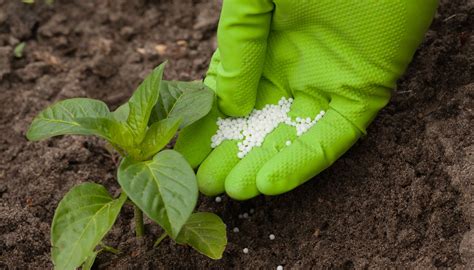 Por qué escoger fertilizantes orgánicos y biodegradables Proquinsa