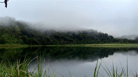 Through The Forest Of Lake Baranibud Dado Alamada Cotabato Part