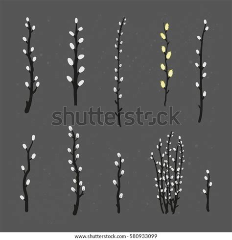 Collection Hand Drawn Pussy Willow Branches Stock Vector Royalty Free