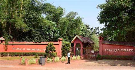 Mangalurus Pilikula Biological Park To Get Asiatic Lions Penguins And