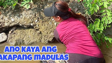 LET S FIND A DISH IN THE RIVER Paano Mag Hanap Ng Ulam Sa Ilog