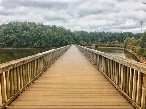 Premium Photo Footbridge Amidst Trees Against Sky